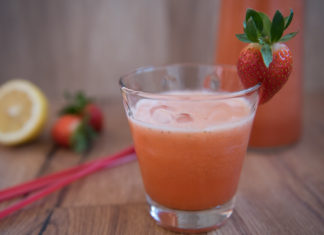 Sommerlimonade aus dem Thermomix