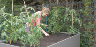 Hochbeet für Kräuter und Gemüse