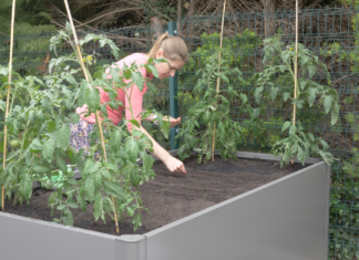 Hochbeet für Kräuter und Gemüse